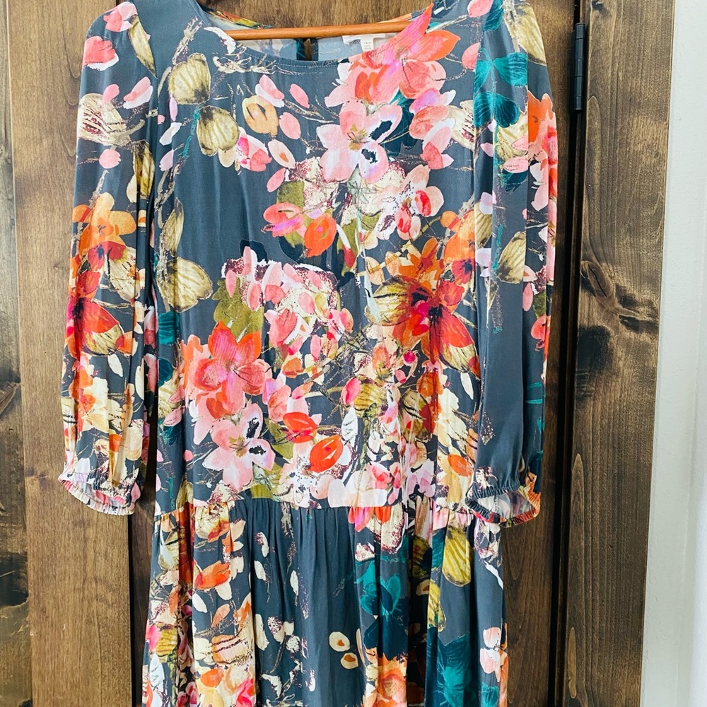 Womens Anthropolgie Meadow rue dress